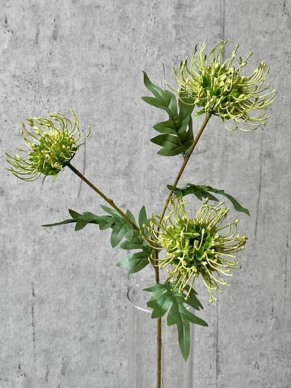 Protea grøn h 71 cm