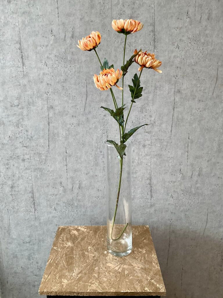 Chrysanthemum karmel h 83 cm