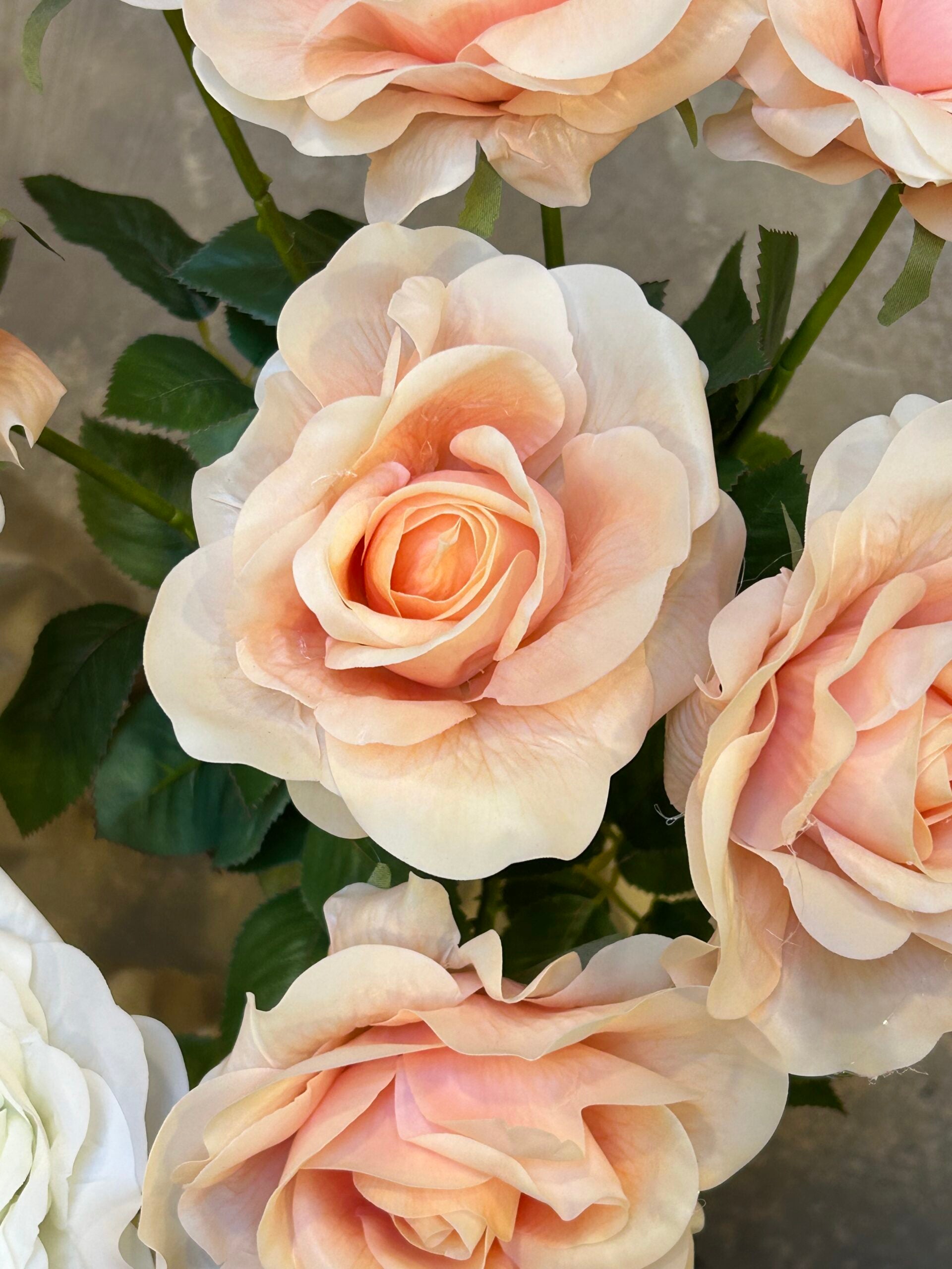 Rose lys abrikos real touch h 69cm