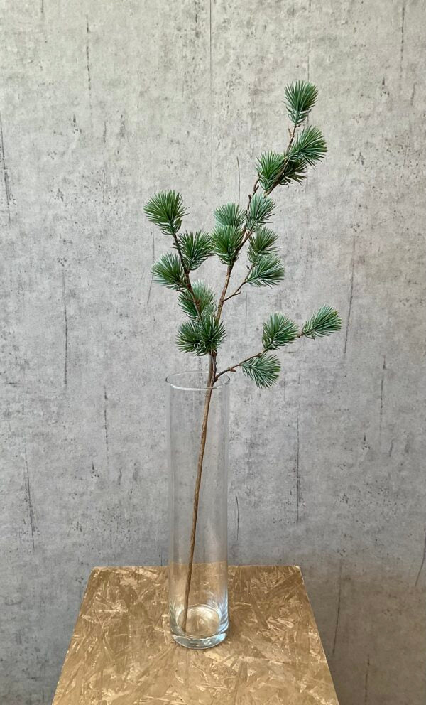 Ceder gran støvet grå h 78 cm