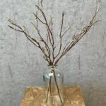 Salix grøn bund a 3stk 56 cm