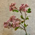 Kirsebær gren fuchsia h 58 cm