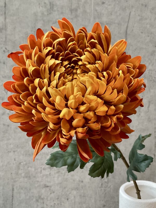 Chrysanthemum lys orange h 75 cm