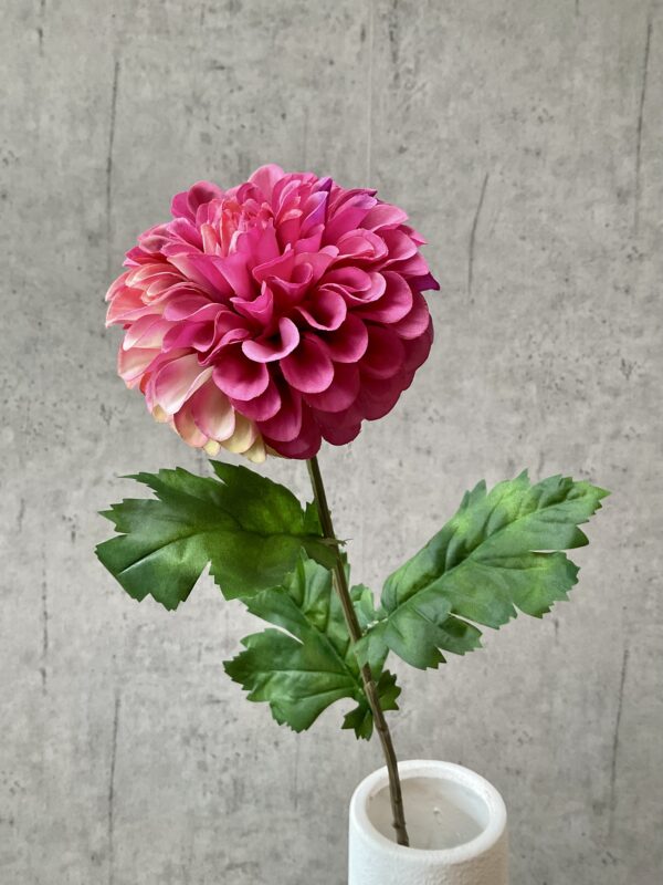Dahlia pink h 75 cm