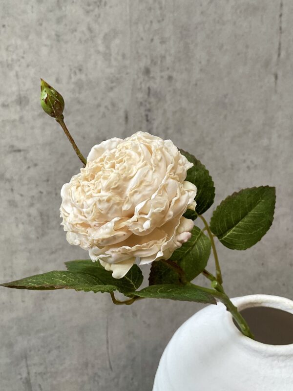 Rose vintage creme h 45 cm