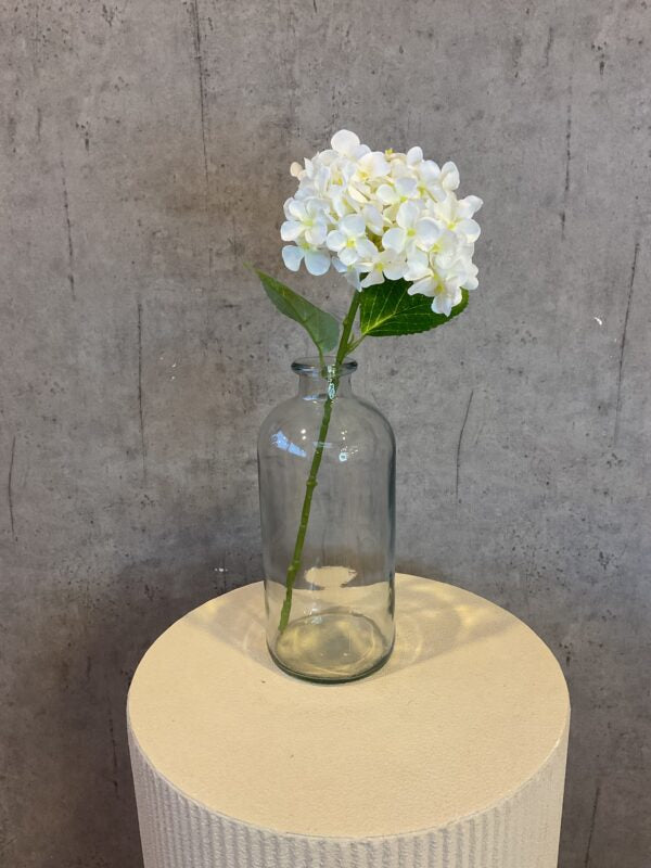 Hortensia hvid