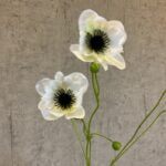 Anemone hvid h 81 cm
