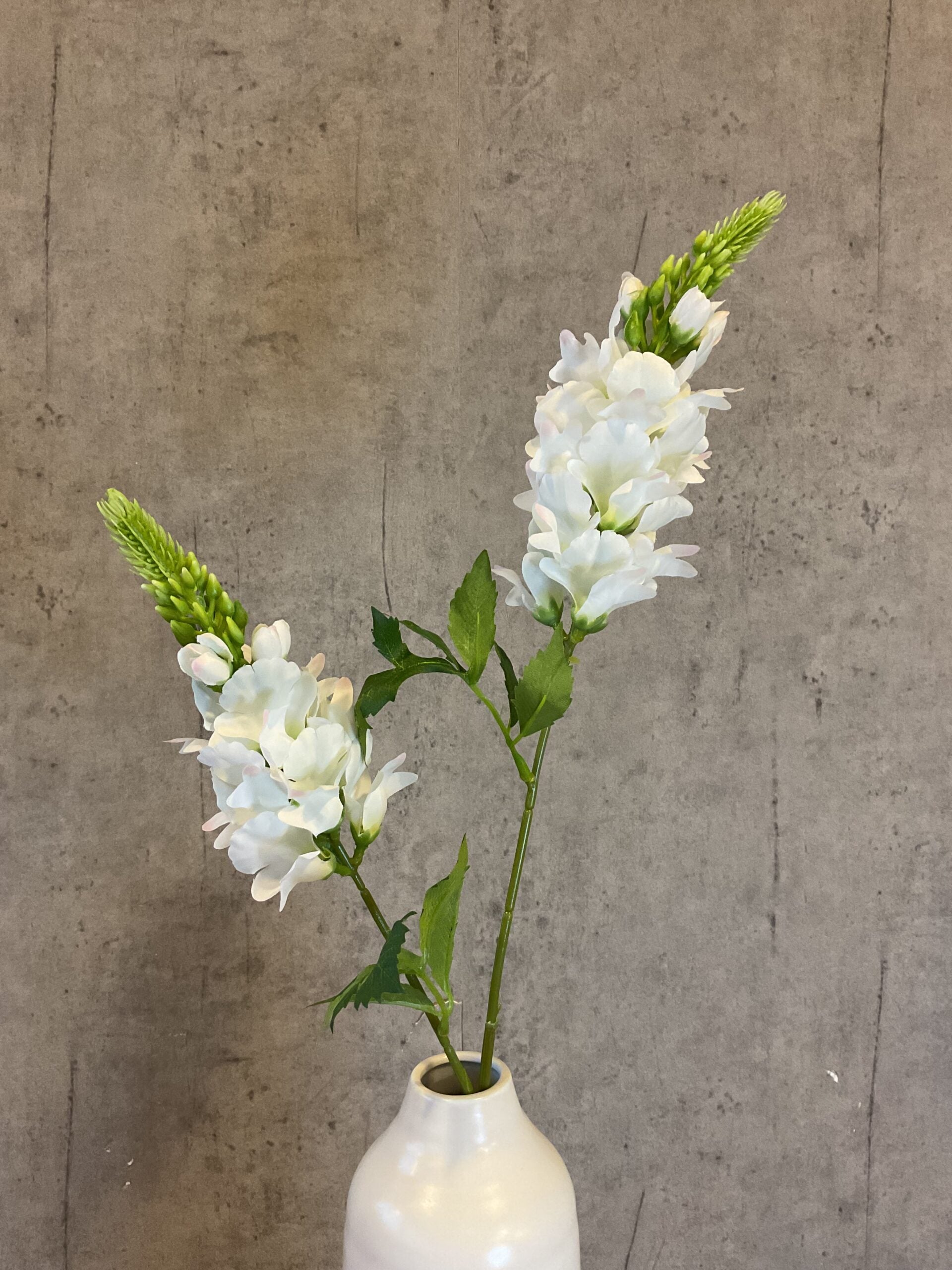Lupin hvid h 77 cm