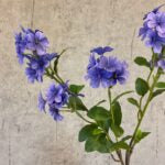 Plumbago gren lilla h 85cm