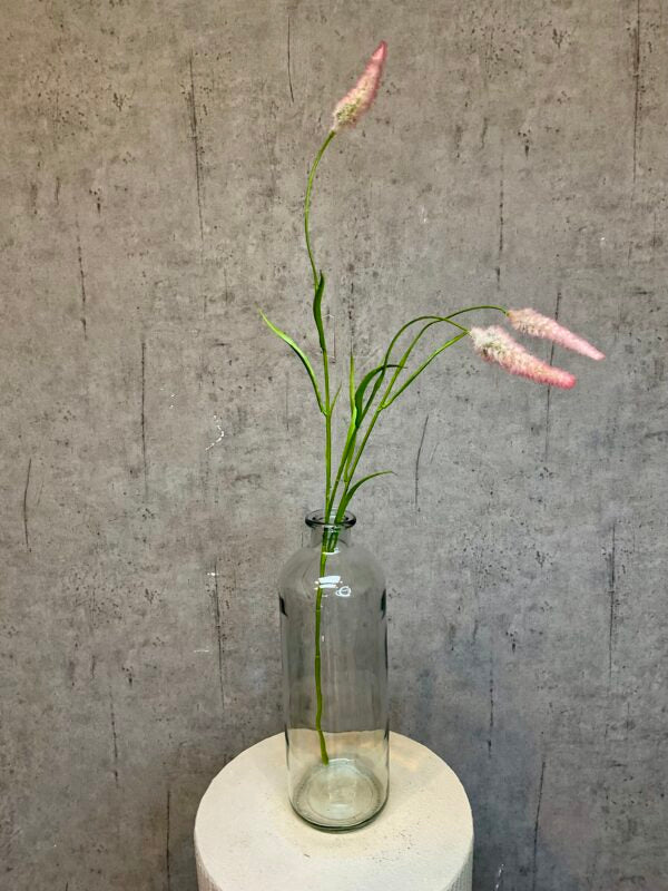 Rævehale græs m/rosa h 71 cm