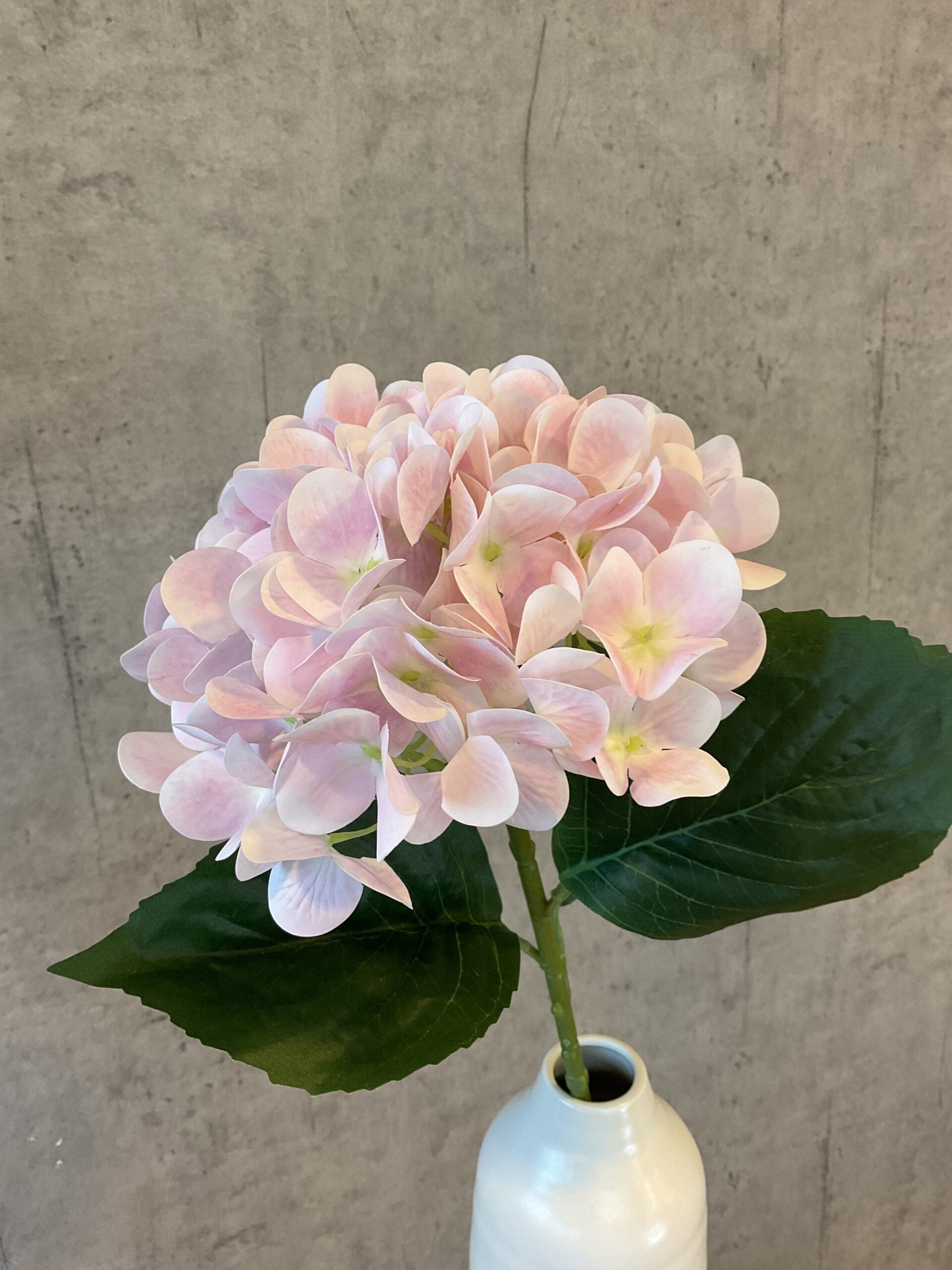Hortensia lys rosa h 65 cm