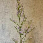 Limonium gren lys lilla h 83cm