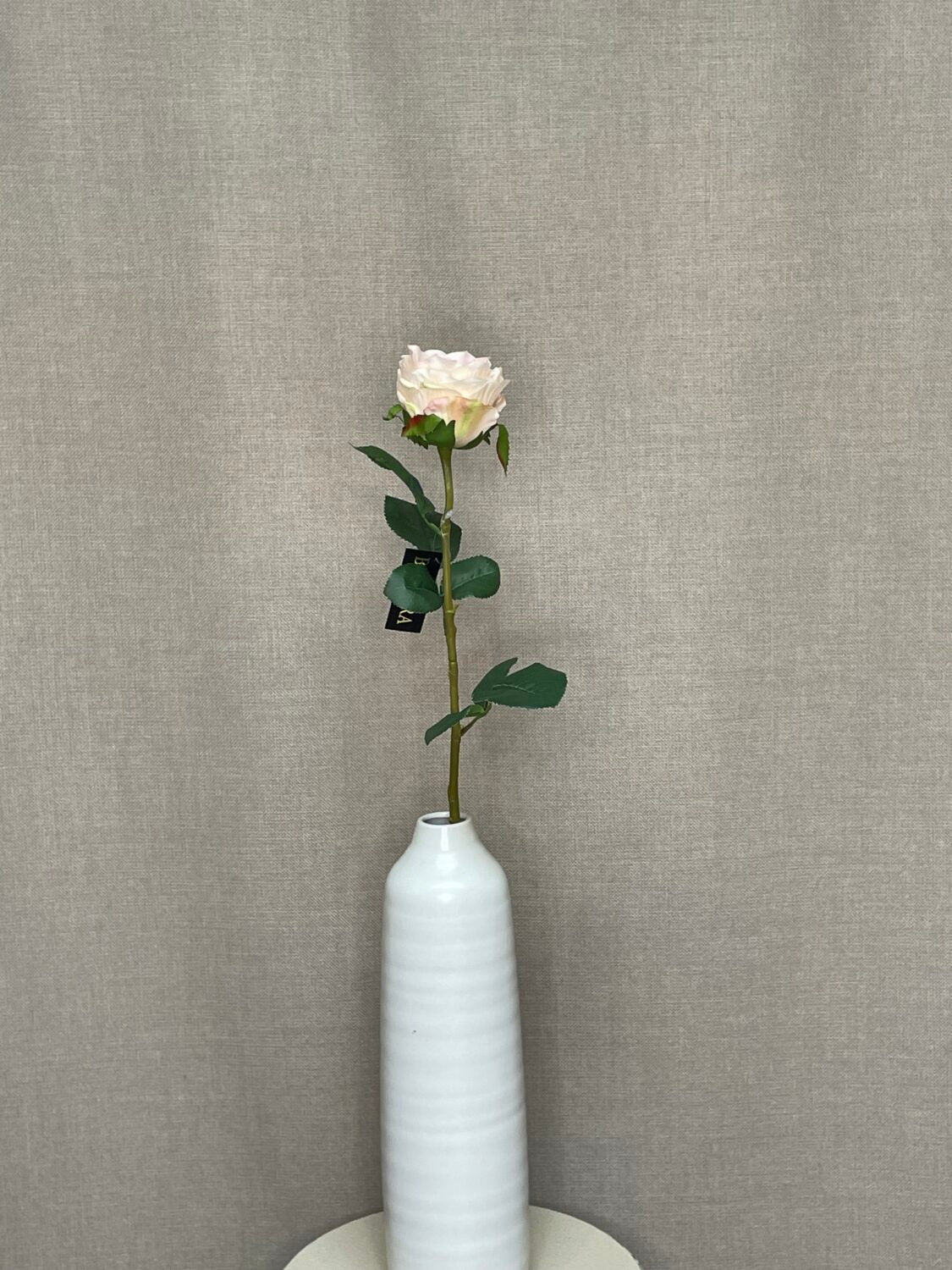Rose creme h 70 cm