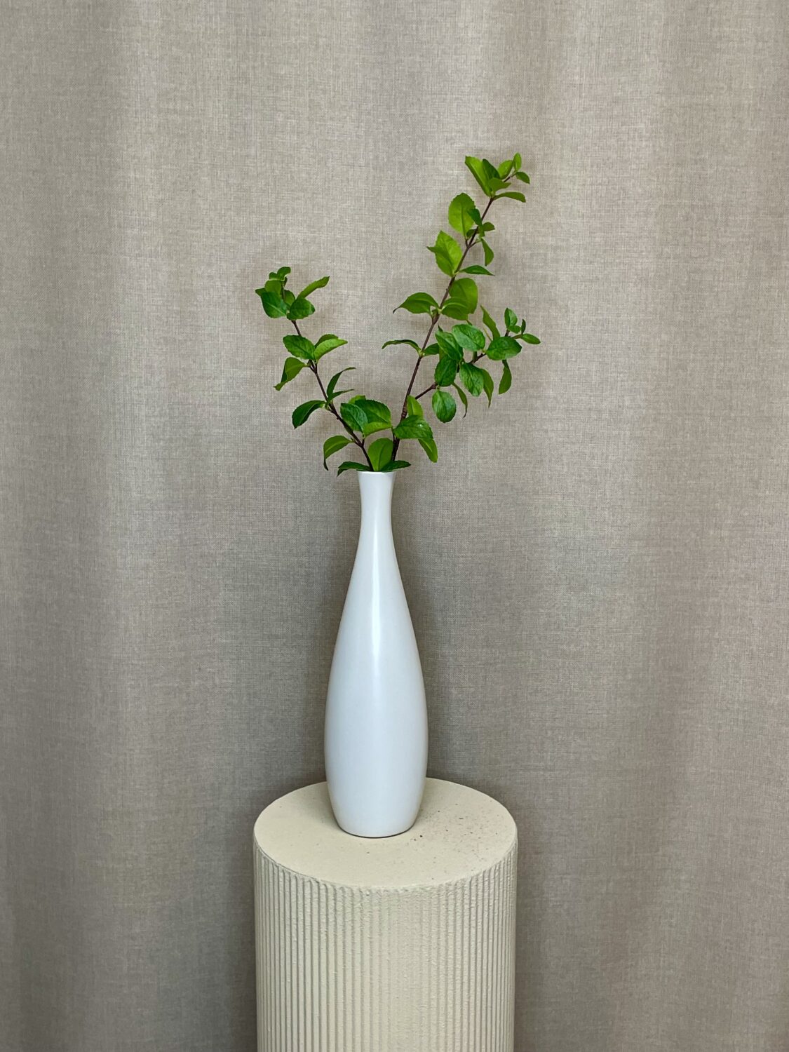 Liguster gren grøn h 85 cm