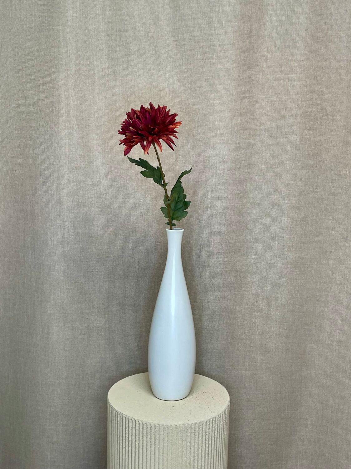 Chrysanthemum brun h 68 cm