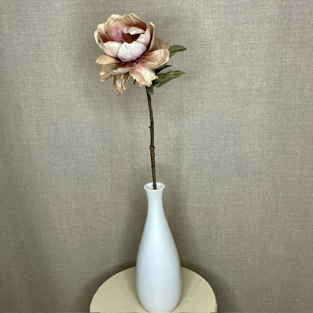 Peony sand h 56 cm