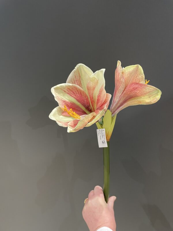 Amaryllis rosa real touch h 68 cm
