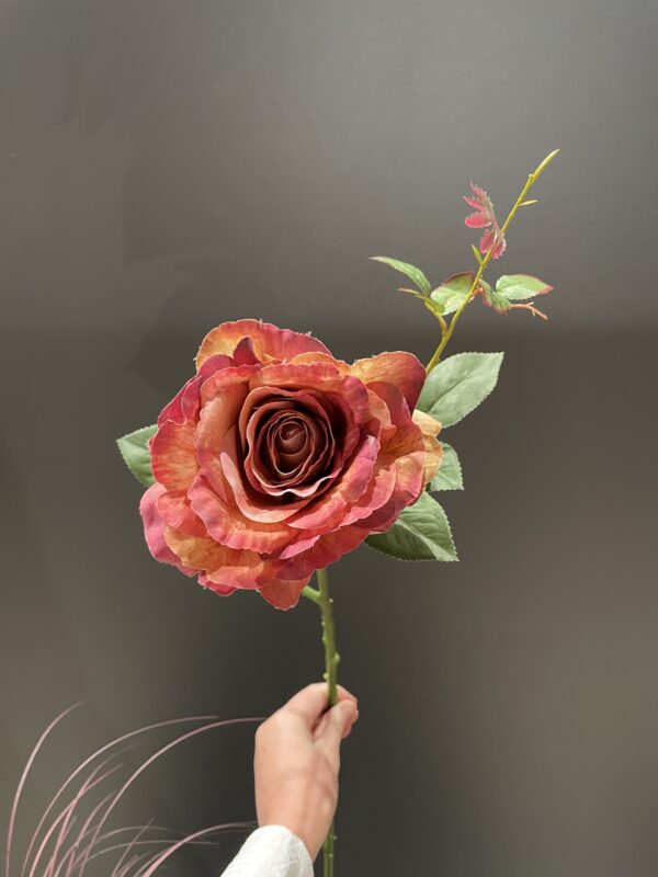 Rose peach h 72 cm