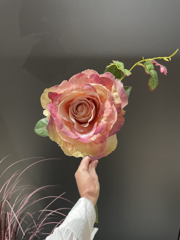 Rose rosa h 72 cm