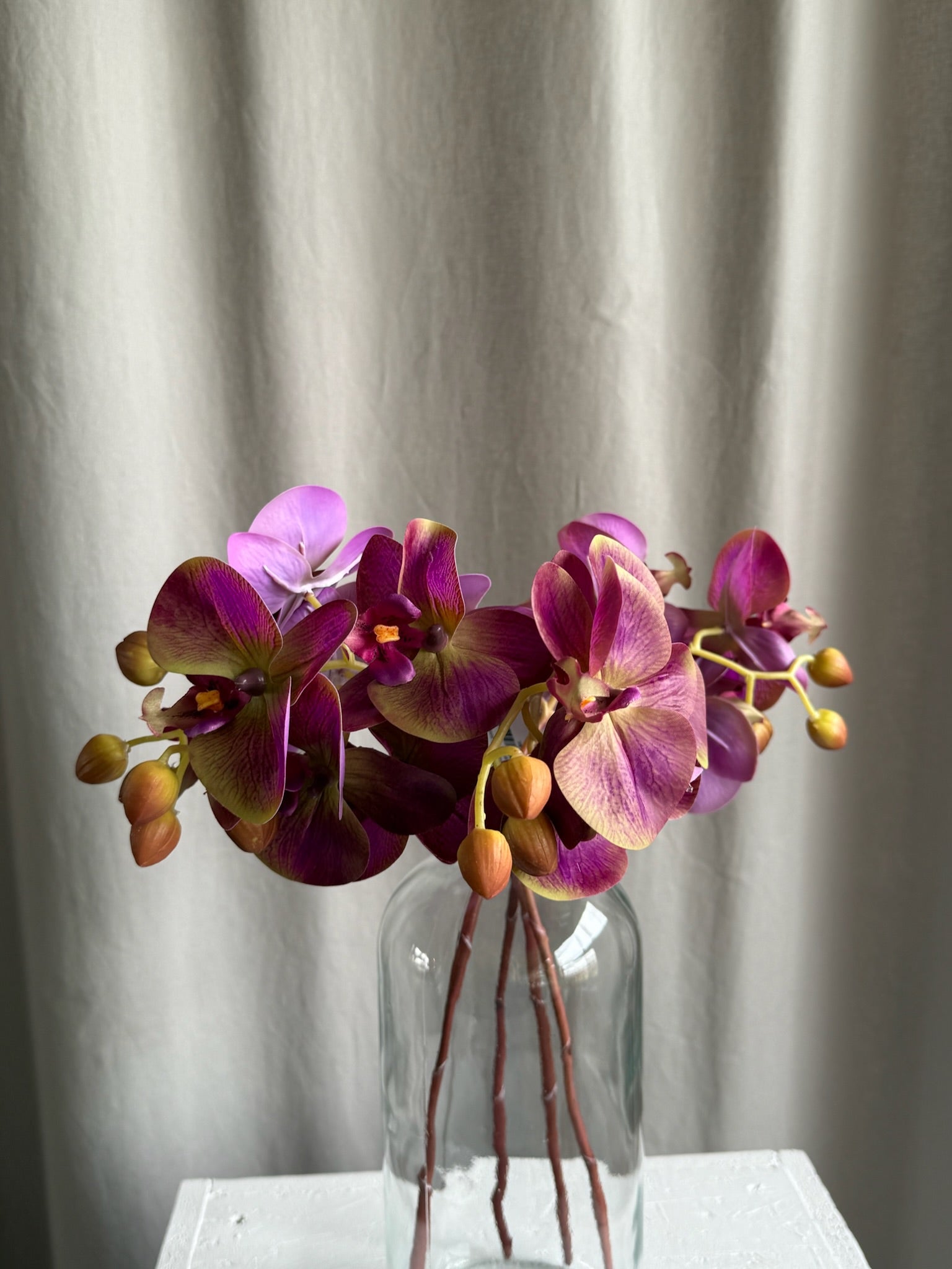 Orkide/phalaenopsis lilla real touch h 44 cm
