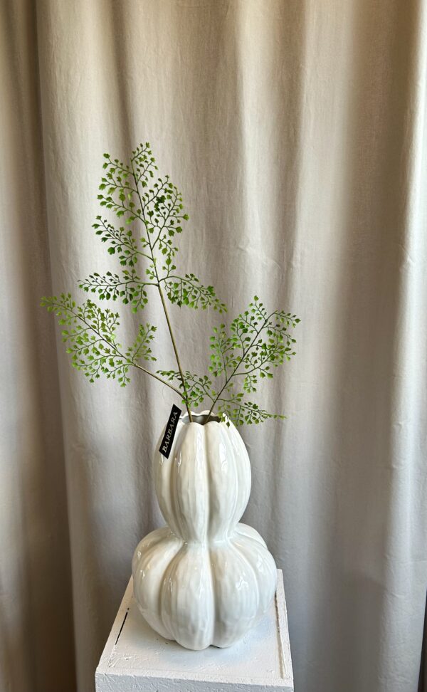 Adianthum gren h 82 cm