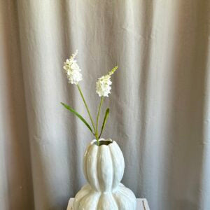 Lysimachia hvid h 63 cm