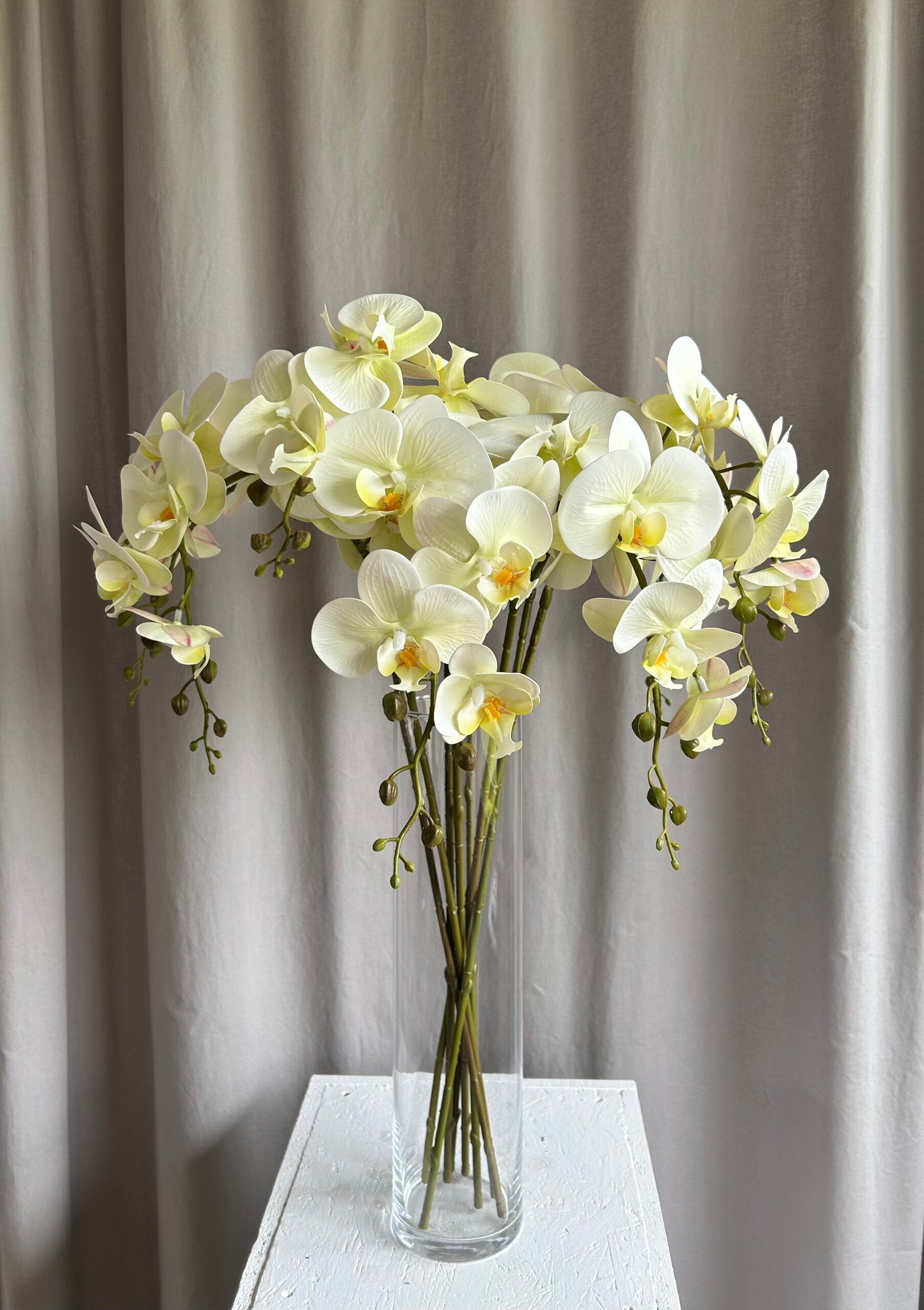 Orkide lys grøn h 86 cm Real touch