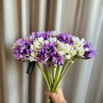 Agapanthus hvid h 70 cm