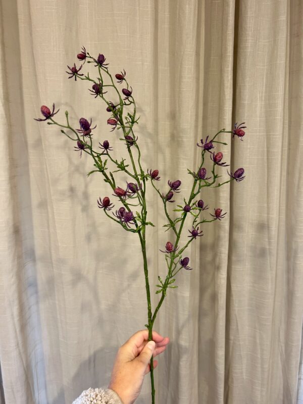 Cordifolia purple h 87 cm