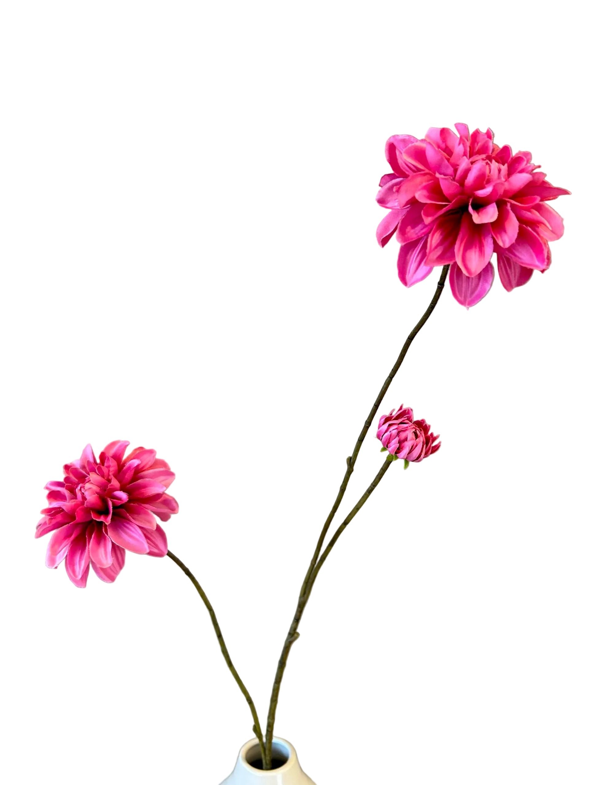 Dahlia pink H 80 cm