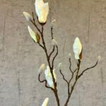 Magnolia gren hvid h 88 cm