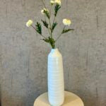 Helichrysum hvid h 68 cm