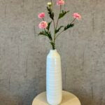 Helichrysum rosa h 68 cm
