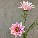 Daisy marguerit rosa h 63cm