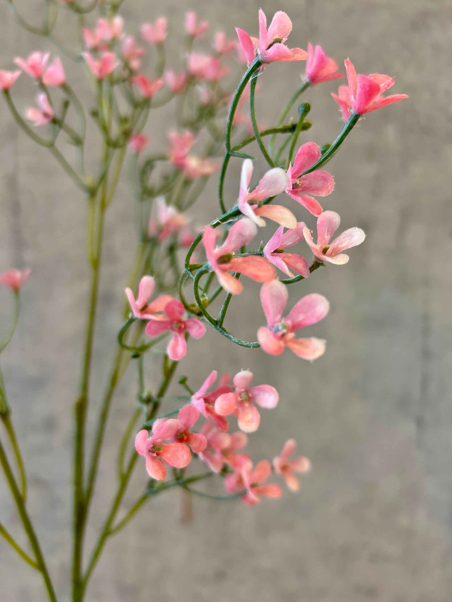 Brudeslør gren rosa h 69cm