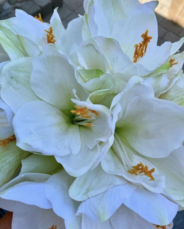 Amaryllis hvid real touch h 68 cm