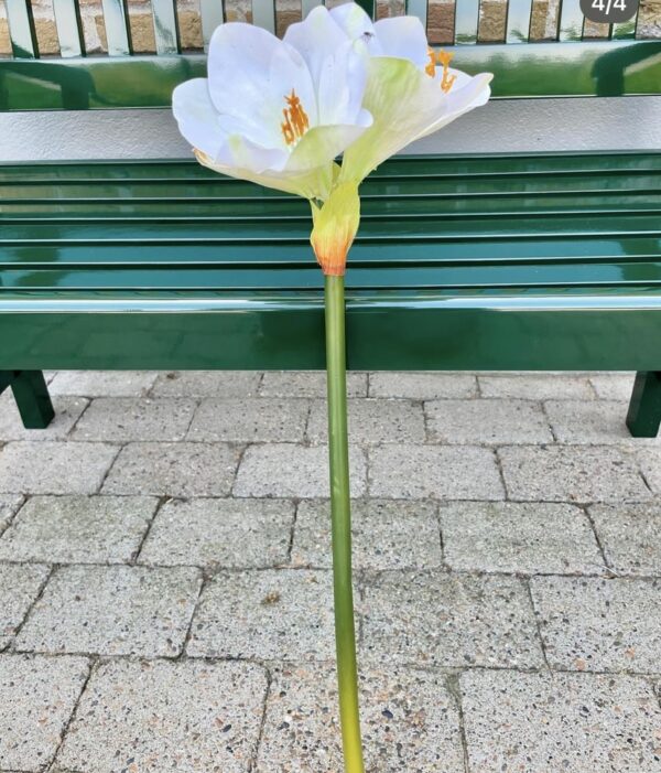 Amaryllis hvid real touch h 68 cm