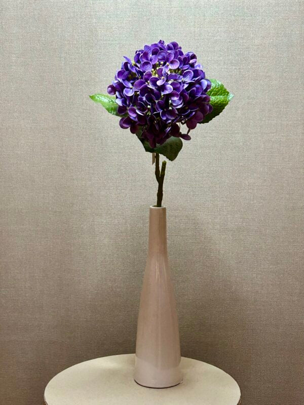 Hortensia purple