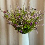 Phytolacca lilla h 72cm