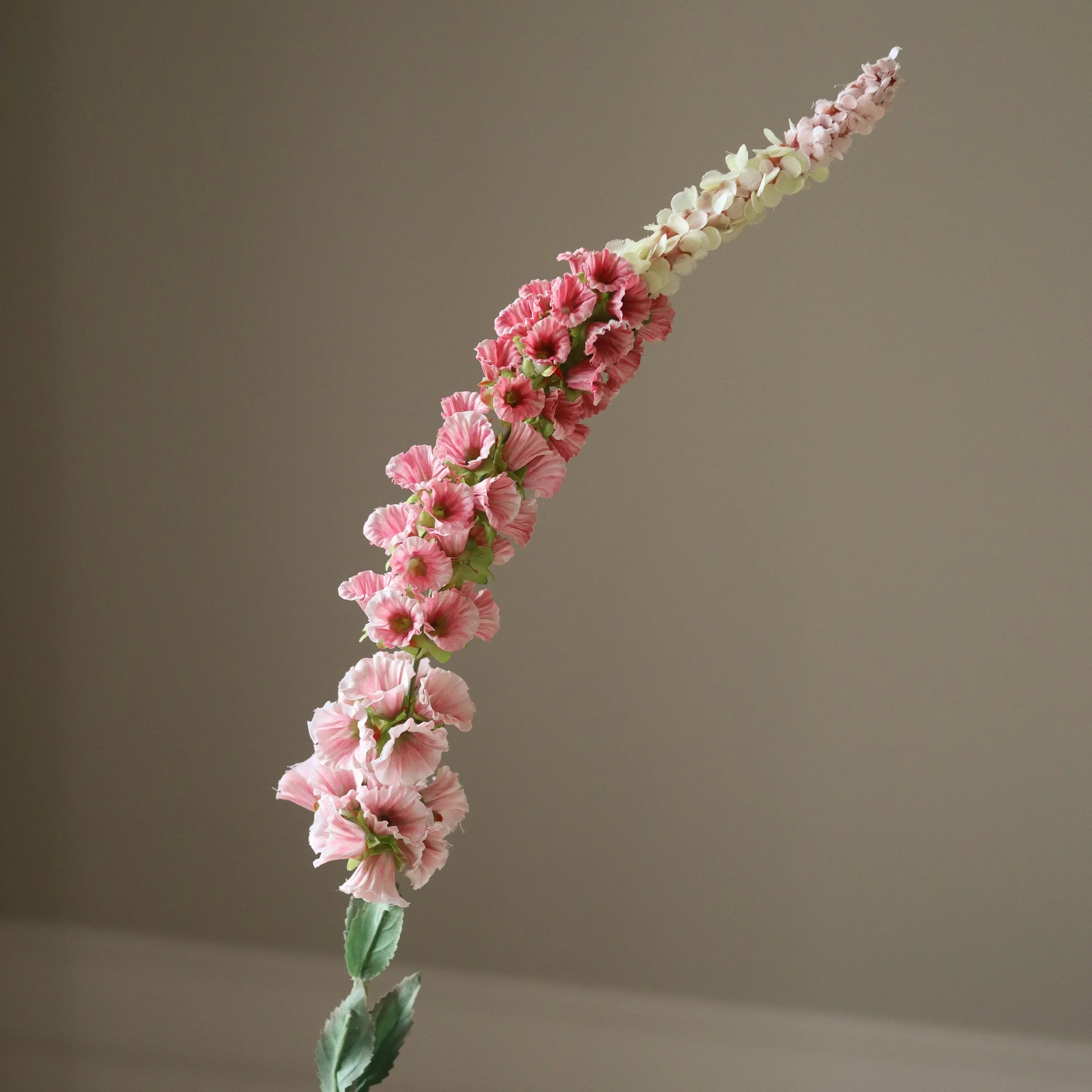 Lyserød rævehaleblomst