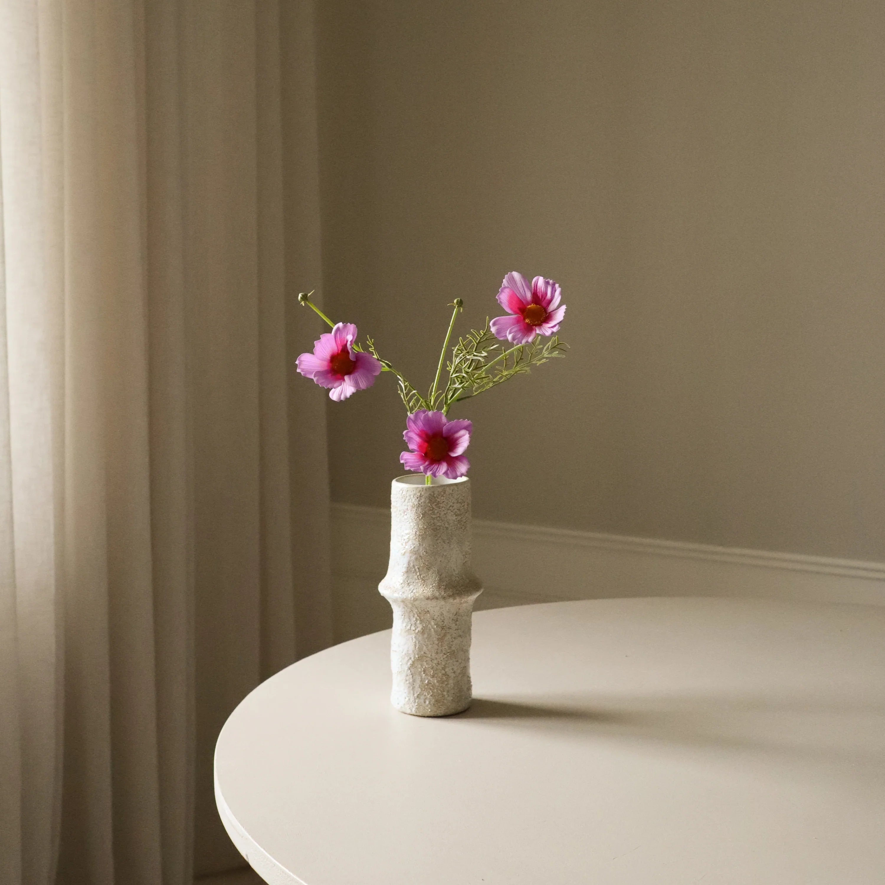 Lilla Cosmo Daisy-blomst