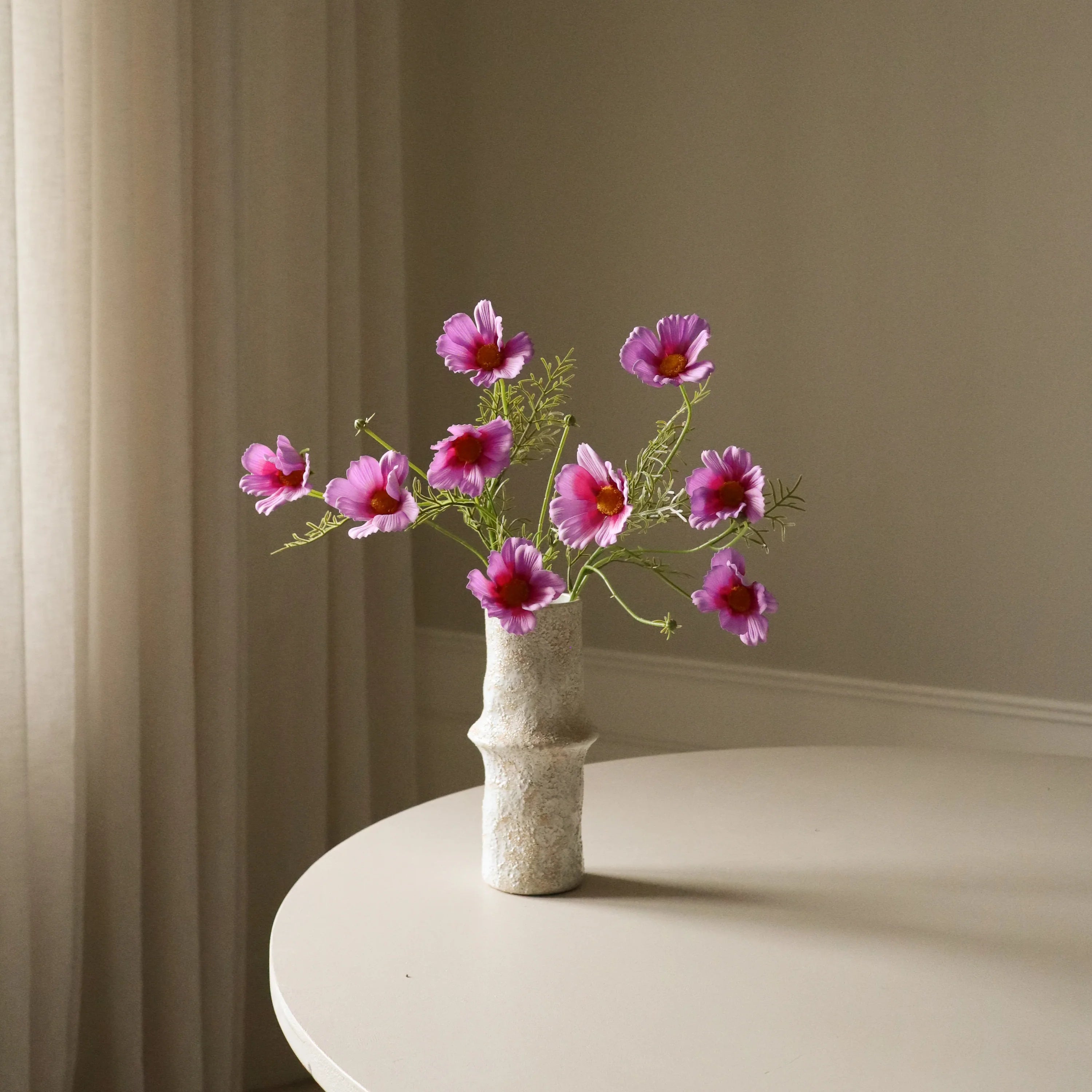 Lilla Cosmo Daisy-blomst