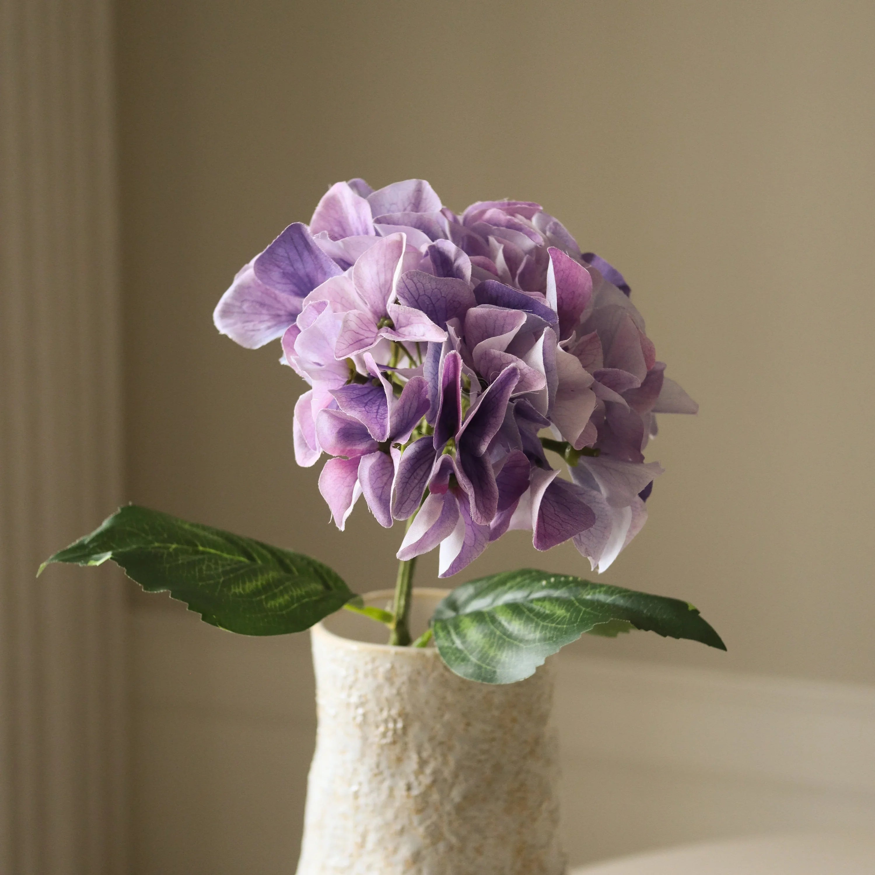 Lilla hortensia macrophylla blomst