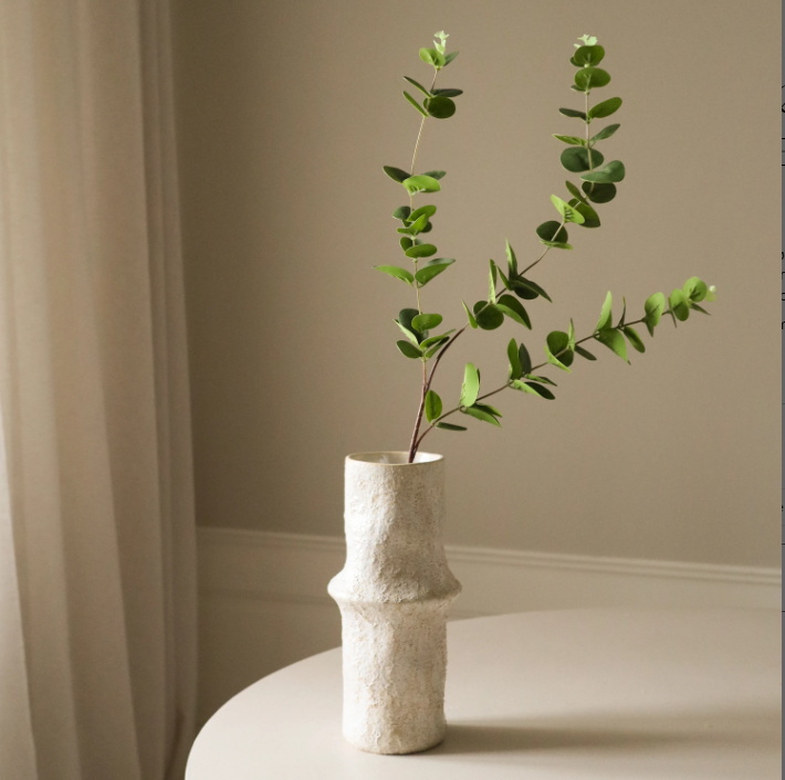 Grøn eukalyptus med tre blade