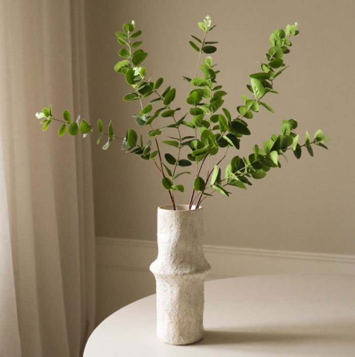 Grøn eukalyptus med tre blade