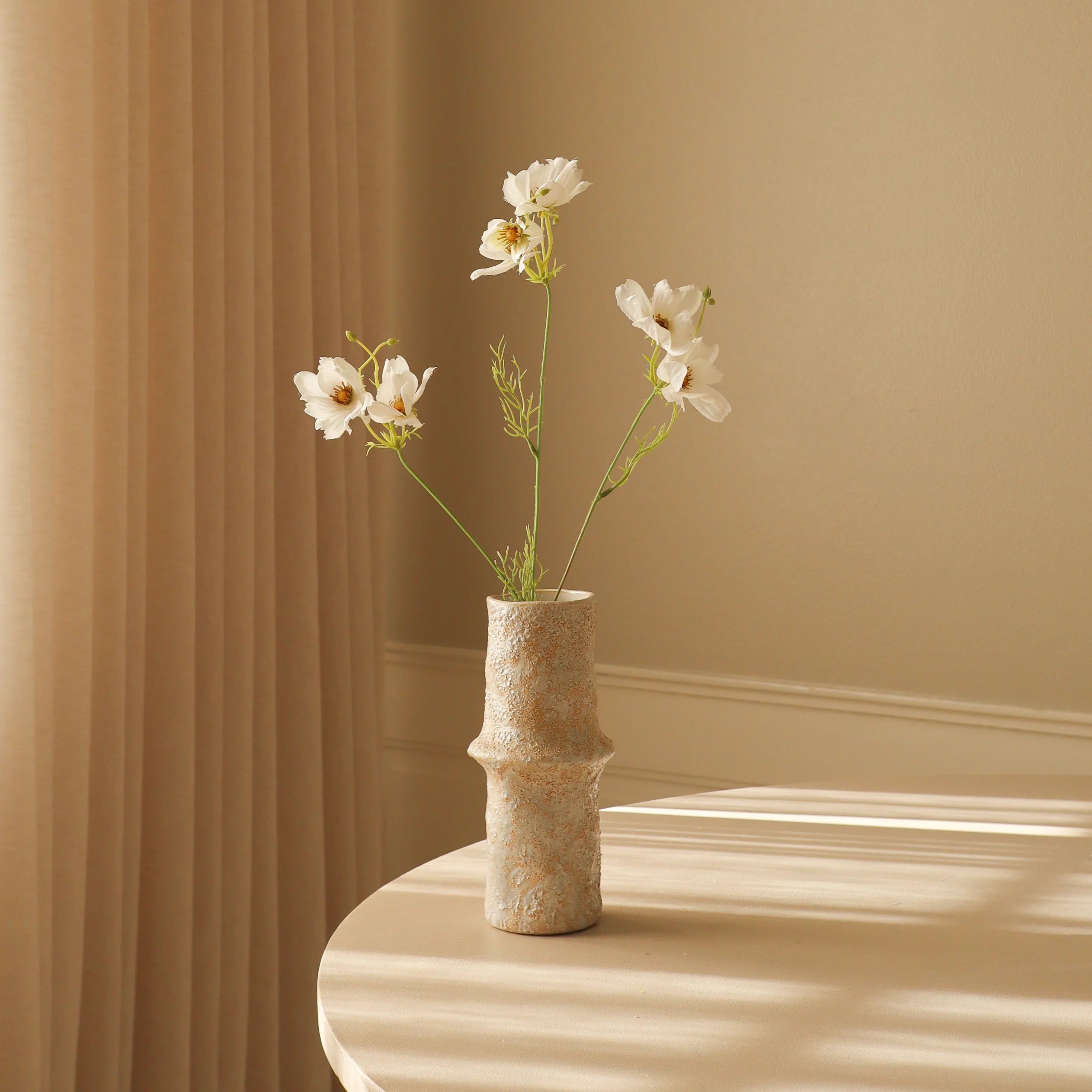 Hvide store Cosmo Daisy blomster