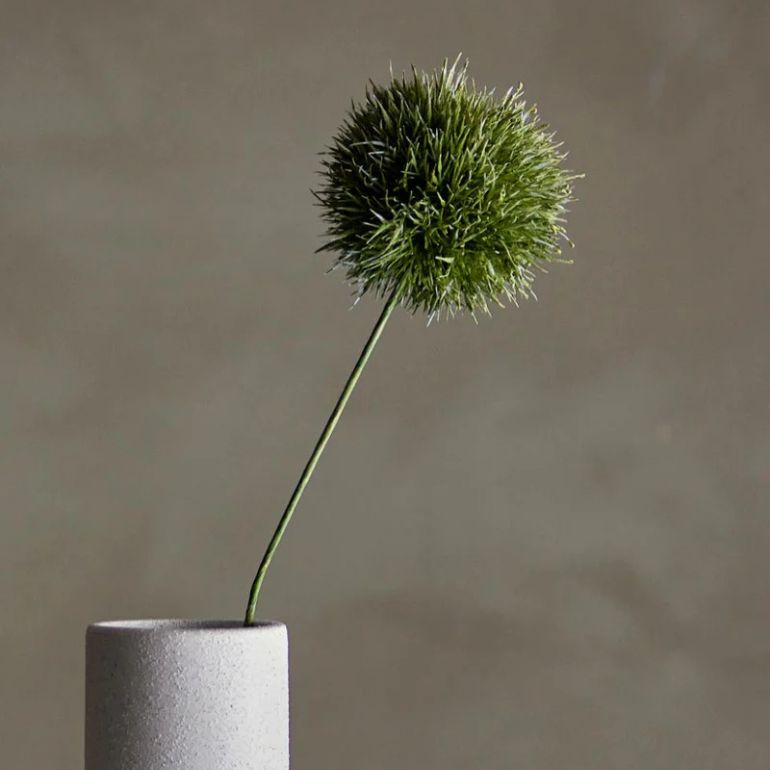 Allium Stilk