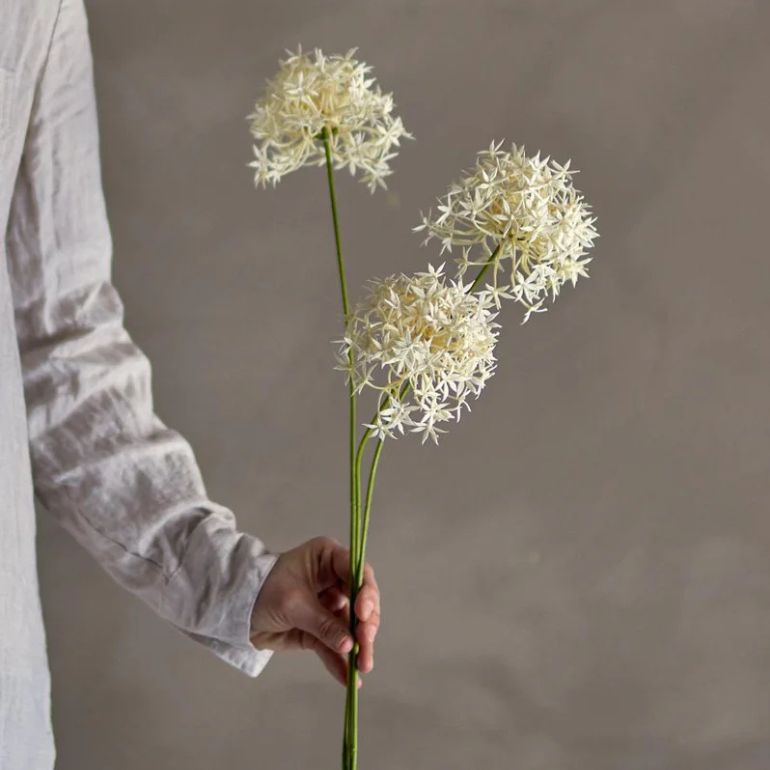 Allium Stilk