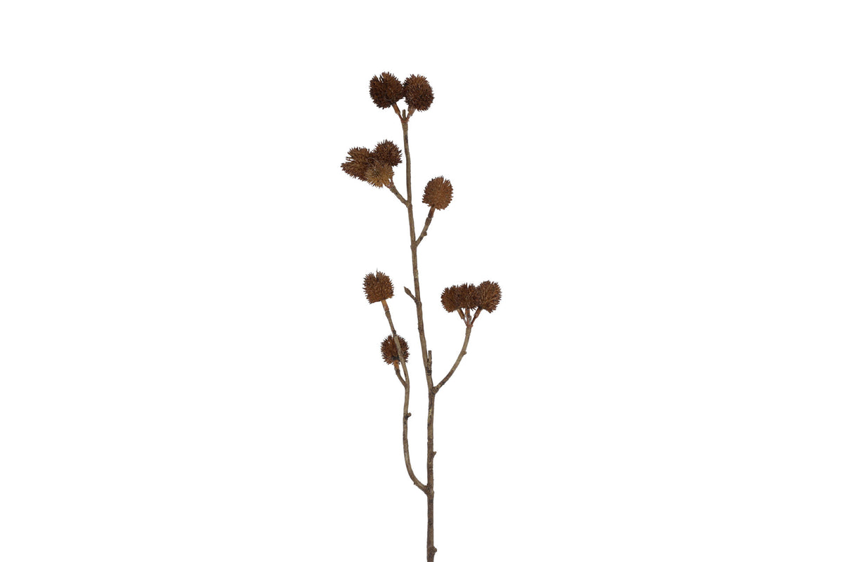 Tidselgren brun – 62 cm