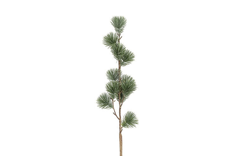 Cedergran støvet grøn – 64 cm